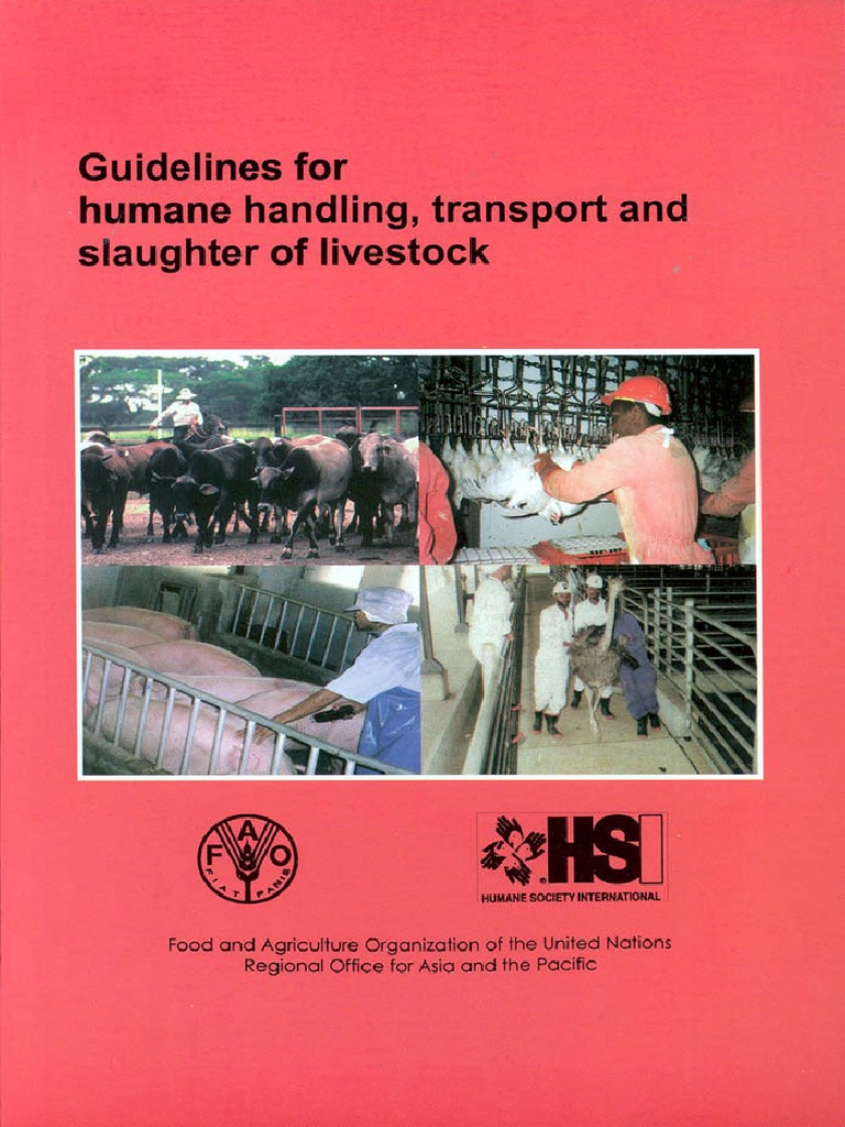 Guidelines Humane Handling Transport Slaughter Meat Animal Slaughter