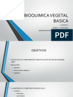 Bioquimica Vegetal Basica PDF