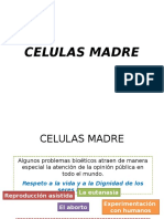 Celulas Madre