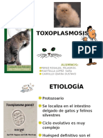 Toxoplasmosis