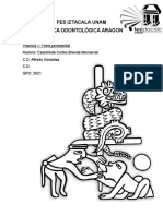 Practica 1 Ficha Periodontal