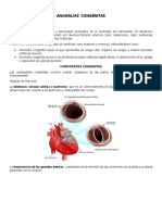 Anomalías Congénitas