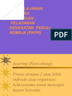 Jejaring Pkpr-Dian 2012