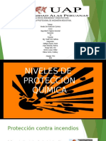 SEGURIDAD  NIVELES D PROTECCIÓN.pptx