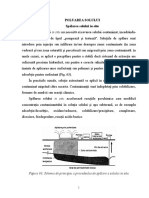 POLUAREA SOLULUI Spalarea Solului in Situ