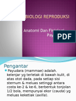 Anatomi Dan Fisiologi Payudara Akbid