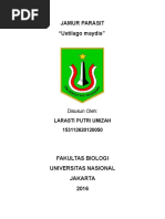 Download Jamur Ustilago Maydis by larasti SN313131903 doc pdf