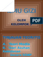 Ilmu Gizi