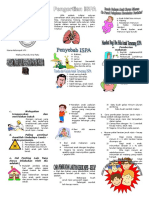 Leaflet ISPA.doc