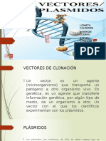 Vectores Plasmidos