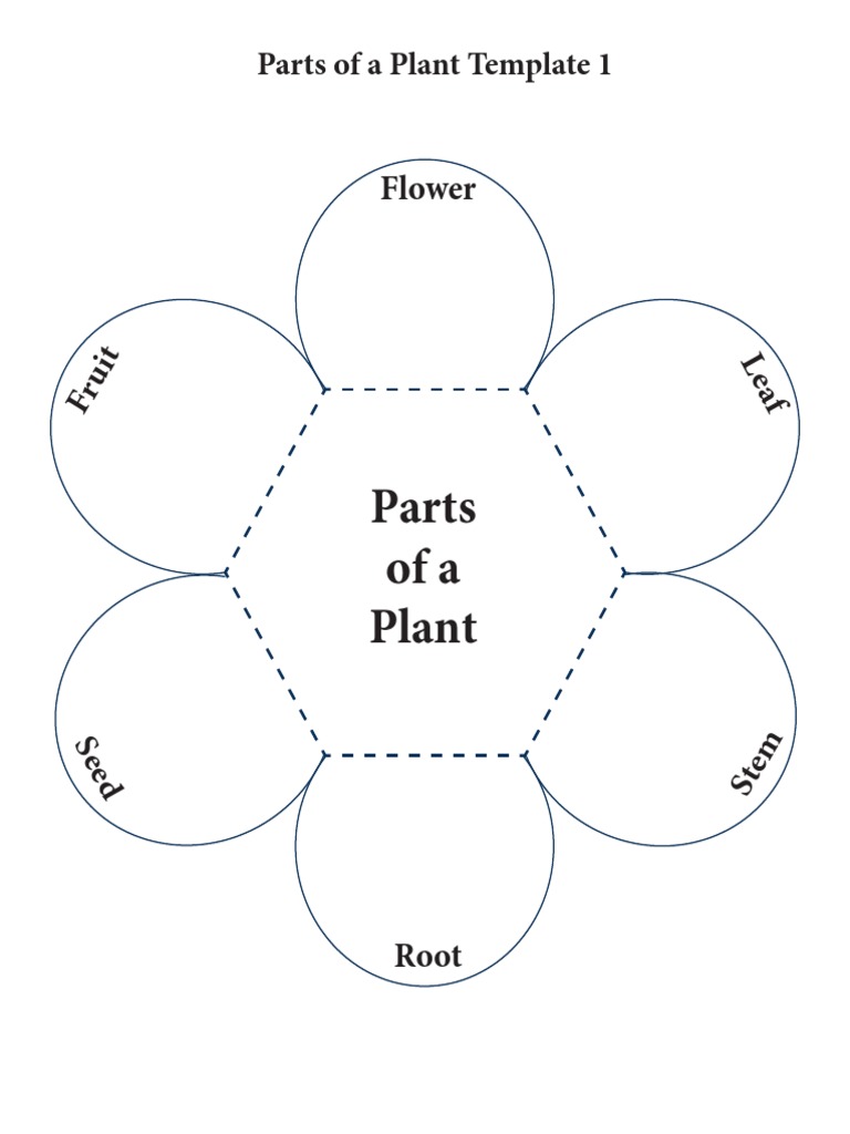 eatingplantslesson parts of a plant template