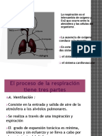 La Respiración Es El Intercambio de Oxígeno y PDF