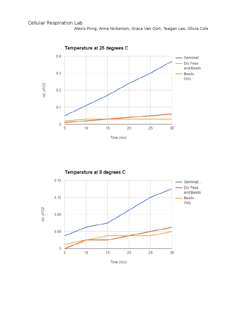 Cellrespirationlab | PDF