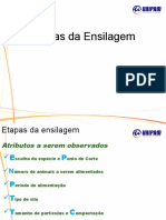 Aula 3 - Etapas Da EnsilagemA