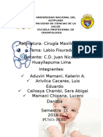 Labio Fisurado