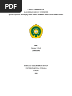 Download LAPAROTOMI ANJING by YohanesKoli SN313199505 doc pdf