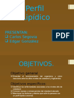 Perfil Lipidico