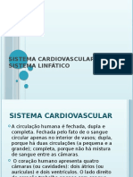 Sistema Cardiovascular e Sistema Linfático