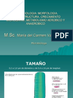 Estructura Bacteriana