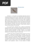 Paramecium