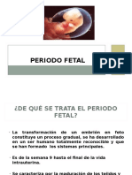 Periodo fetal Embriologa 