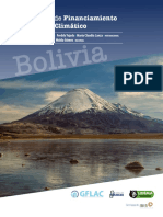 Informe Financiamiento Bolivia