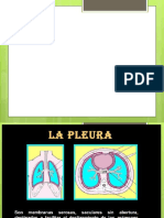 derrame pleural diapo.pptx