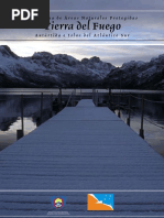 ap_de_tierra_del_fuego.pdf