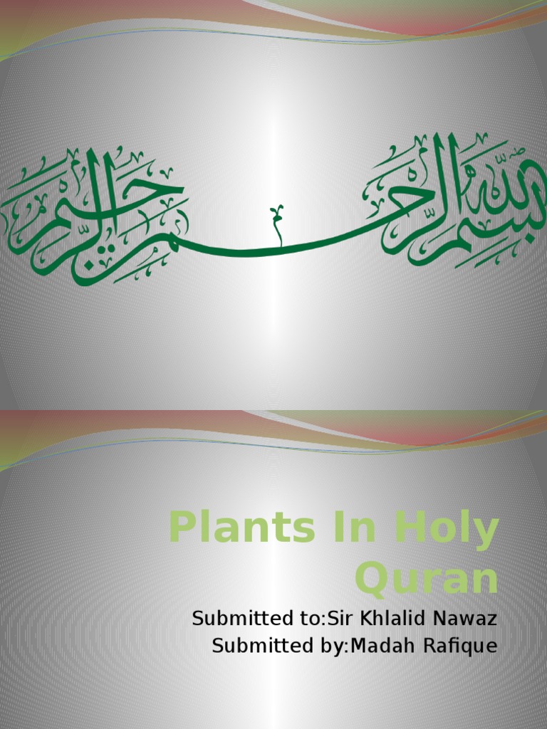 Medicinal Plants in the Holy Quran An Analysis of Plants and Their