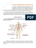 Resumo Histologia Do Sistema Imune e Órgãos Linfáticos