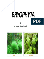 Bryophyta PDF