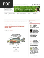 Download Laporan Praktikum Anatomi Fisiologi Hewan Anatomi Pisces _ PakareBiologi by Fiy Jannatin Aliyah SN313240679 doc pdf