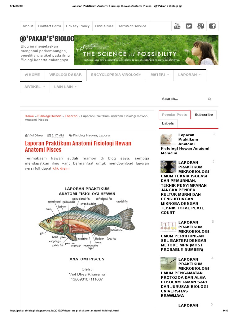 Laporan Praktikum Anatomi Fisiologi Hewan Anatomi Pisces Laporan Praktikum Anatomi Fisiologi Hewan Anatomi Pisces