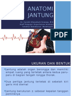 Anatomi Jantung 