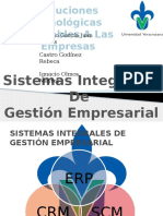 _Sistemas Integrales de Gestion Empresarial