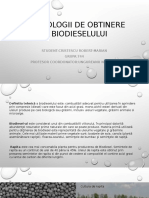 Proiect IRD Prezentare-Biodiesel