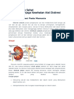 Sistem Ekskresi Pada Manusia Sekabi