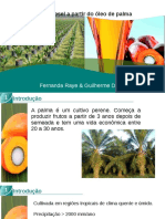 Biodiesel Palma 40