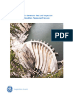 GEA31236Final HydroTestInspectConditionAssessmentService PDF