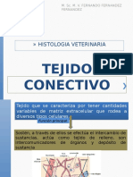 Tejido conectivo y sus componentes