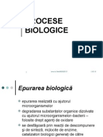 Curs TEA 2008 Procese Biologice