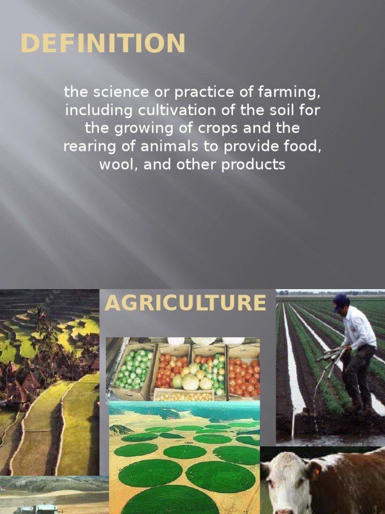Importance of Agriculture in Pakistan | PDF | Wellness | Technology ...