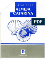 Almeja Catarina k