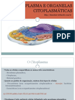 6_Citoplasma e Organelas