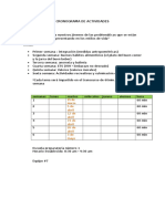 Cronograma de Actividades