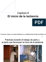 6 El Inicio de La Lactancia. F