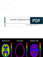 Estado Vegetativo Persistente