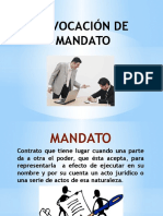 Revocación de Mandato Irene