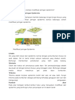 Sebutkan Bentuk Bentuk Modifikasi Jaringan Epidermis