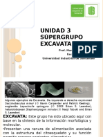 Unidad 3 Supergrupo Excavata - 2016a